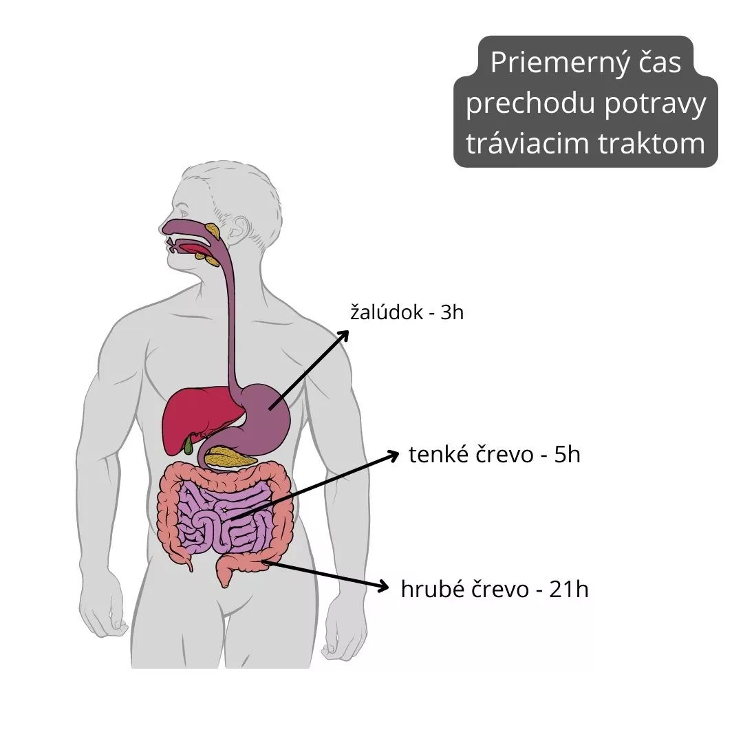 trávenie, čas, prechodu, potrava, trakt, ibs, symptómy